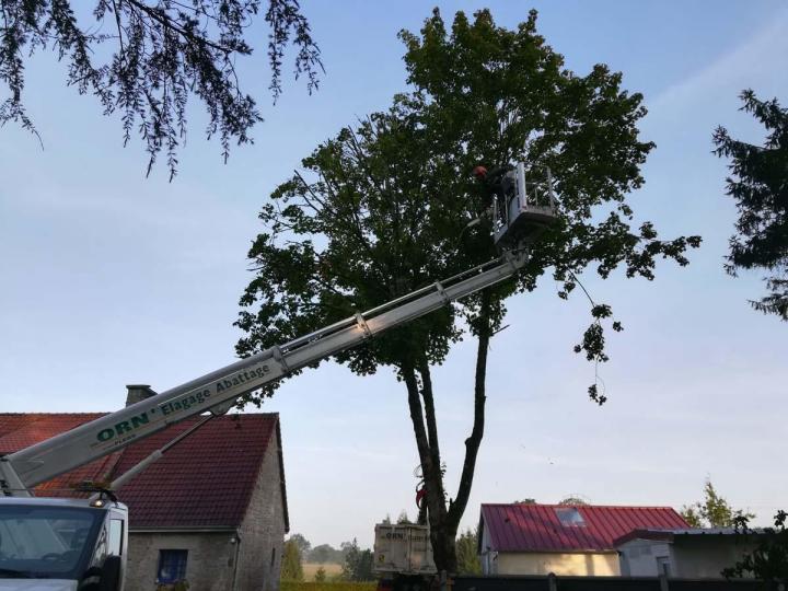 Travaux d’abattage d'arbre Flers