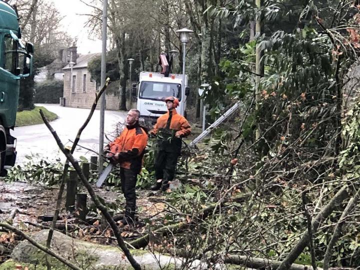 Taille de haies Flers