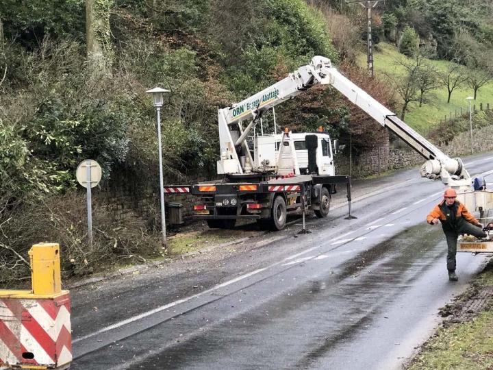 Abattage d'arbre Flers