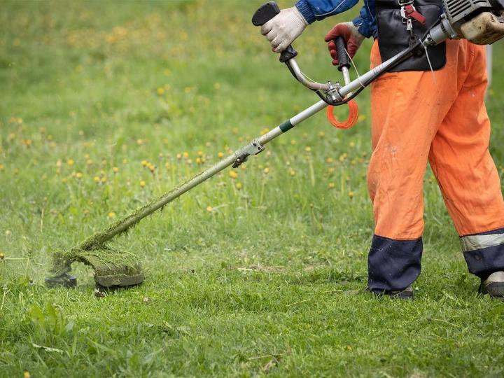 Travaux d’émondage Flers