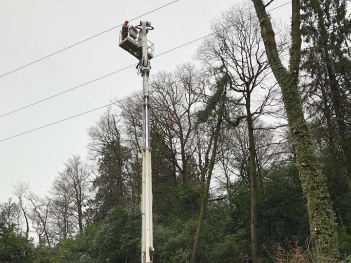 Travaux d’émondage Flers